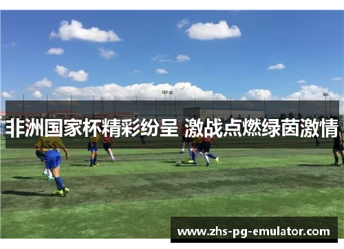 非洲国家杯精彩纷呈 激战点燃绿茵激情 非洲国家杯精彩纷呈 激战点燃绿茵激情
